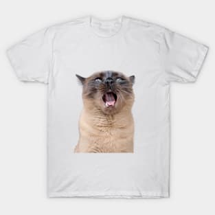 Cola Yawn T-Shirt